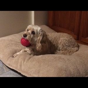 Meet your Posher, Kara